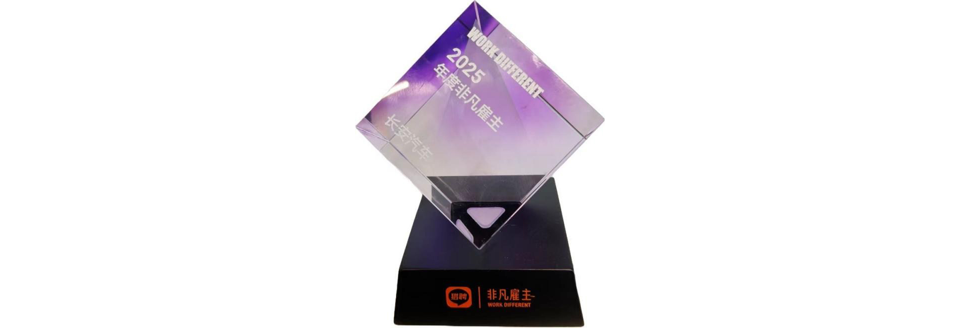 Liepin 2025 Extraordinary Employer